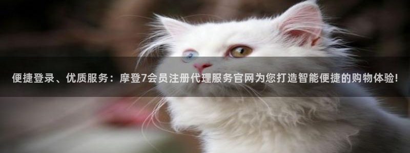 上海大满贯汽车电子有限公司：便捷登录、优质服务：摩登7会员注册代理服务官网为您打