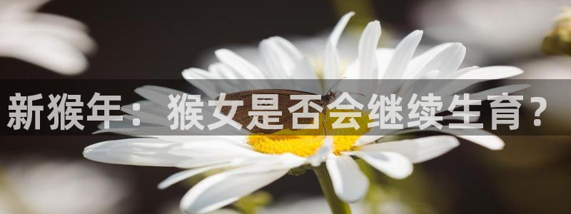 大满贯平台开户链接：新猴年：猴女是否会继续生育？
