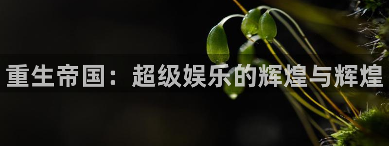 大满贯vk：重生帝国：超级娱乐的辉煌与辉煌