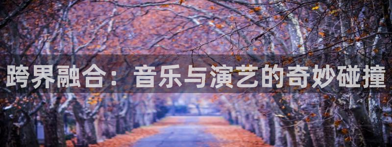 大满贯3注册：跨界融合：音乐与演艺的奇妙碰撞