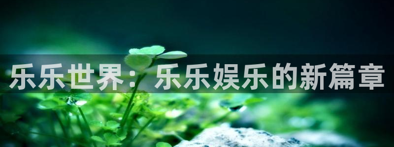 大满贯体育2：乐乐世界：乐乐娱乐的新篇章