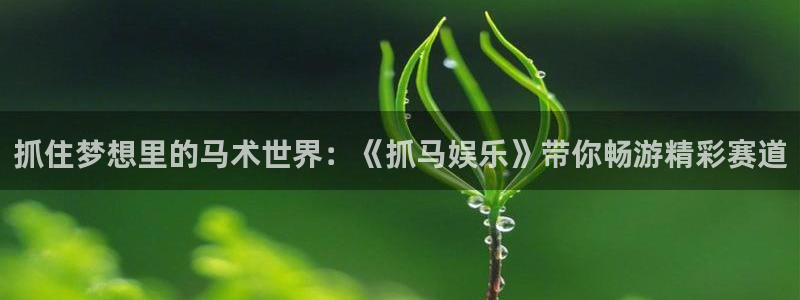 大满贯凯捷注册：抓住梦想里的马术世界：《抓马娱乐》带你畅游精彩赛道