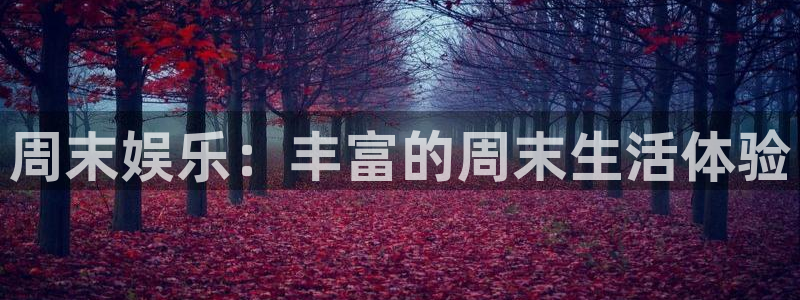 大满贯平台招商：周末娱乐：丰富的周末生活体验