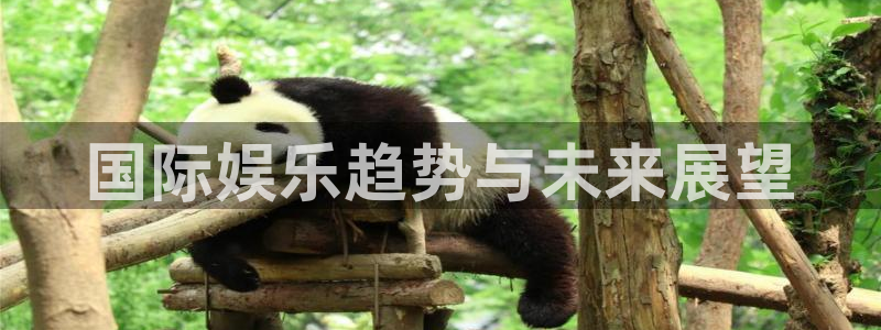 大满贯3注册：国际娱乐趋势与未来展望