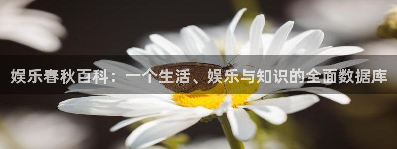 大满贯体育平台总代理：娱乐春秋百科：一个生活、娱乐与知识的全面数据库