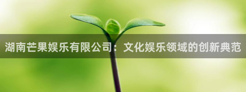 大满贯体育1招商：湖南芒果娱乐有限公司：文化娱乐领域的创新典范