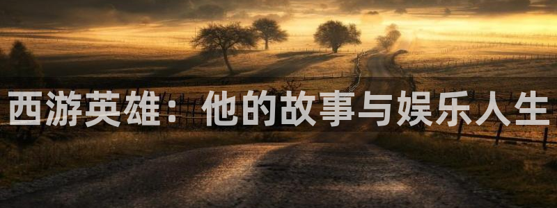 大满贯体育4：西游英雄：他的故事与娱乐人生