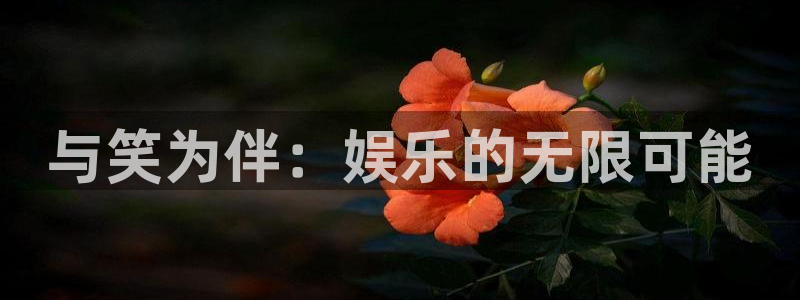大满贯游戏有哪些好玩的：与笑为伴：娱乐的无限可能