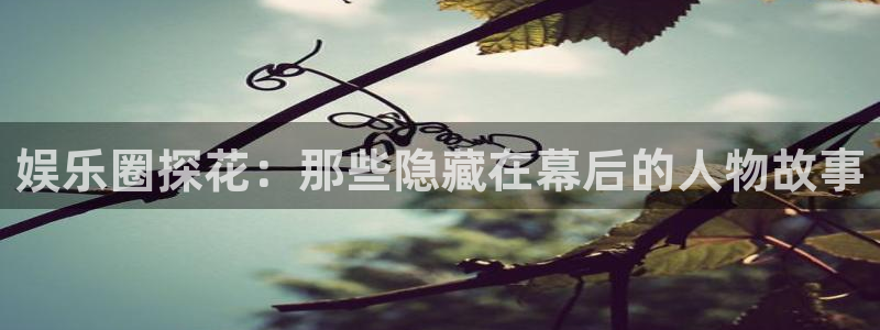 大满贯体育娱乐注册链接：娱乐圈探花：那些隐藏在幕后的人物故事