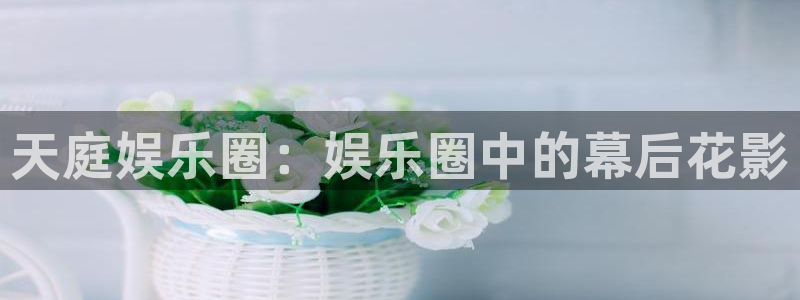 大满贯平台开户链接：天庭娱乐圈：娱乐圈中的幕后花影