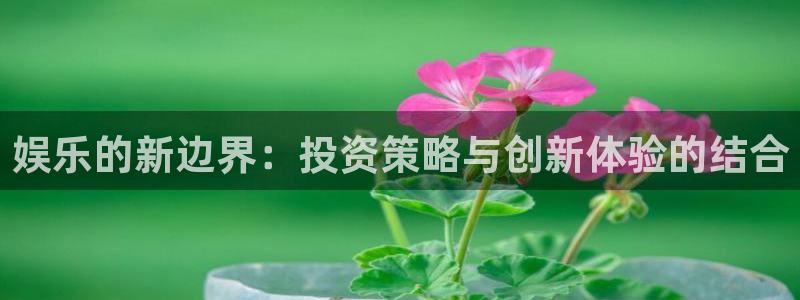 大满贯平台在线开户：娱乐的新边界：投资策略与创新体验的结合