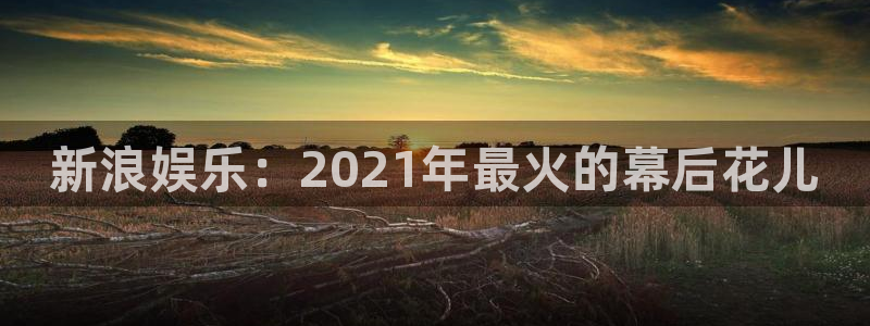 大满贯体育app下载：新浪娱乐：2021年最火的幕后花儿