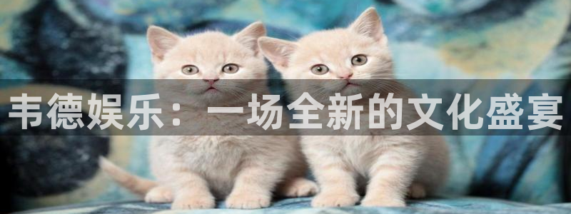 大满贯2登录地址：韦德娱乐：一场全新的文化盛宴