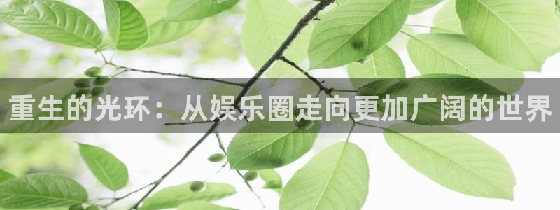 大满贯体育f开户：重生的光环：从娱乐圈走向更加广阔的世界